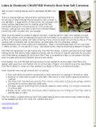 CHLOR*RID Protects Steel from Salt Corrosion